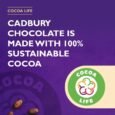 Chocolate-144-Count-Pack-of-1-04-765x765-1.jpg