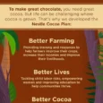 Chocolate-Big-08-510x765-1.webp